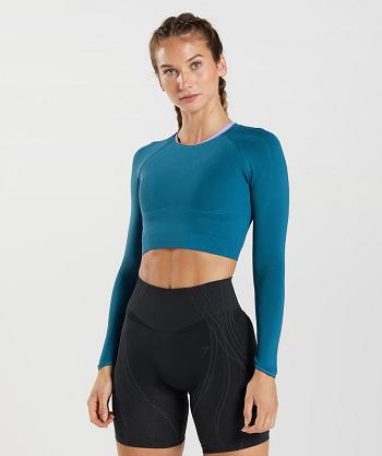Dámské Oříznuté Topy Gymshark Apex Seamless Blankyt Tmavě Šedé Blankyt | CZ 3737FDN